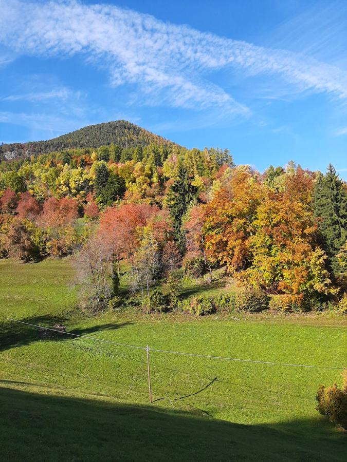 Hotel Trudnerhof Im Naturpark Trudnerhorn Trodena Zewnętrze zdjęcie