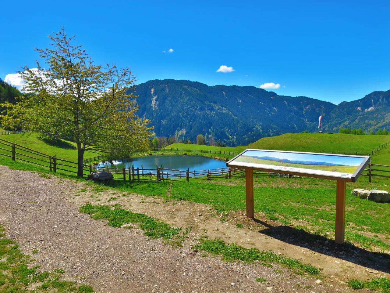 Hotel Trudnerhof Im Naturpark Trudnerhorn Trodena Zewnętrze zdjęcie